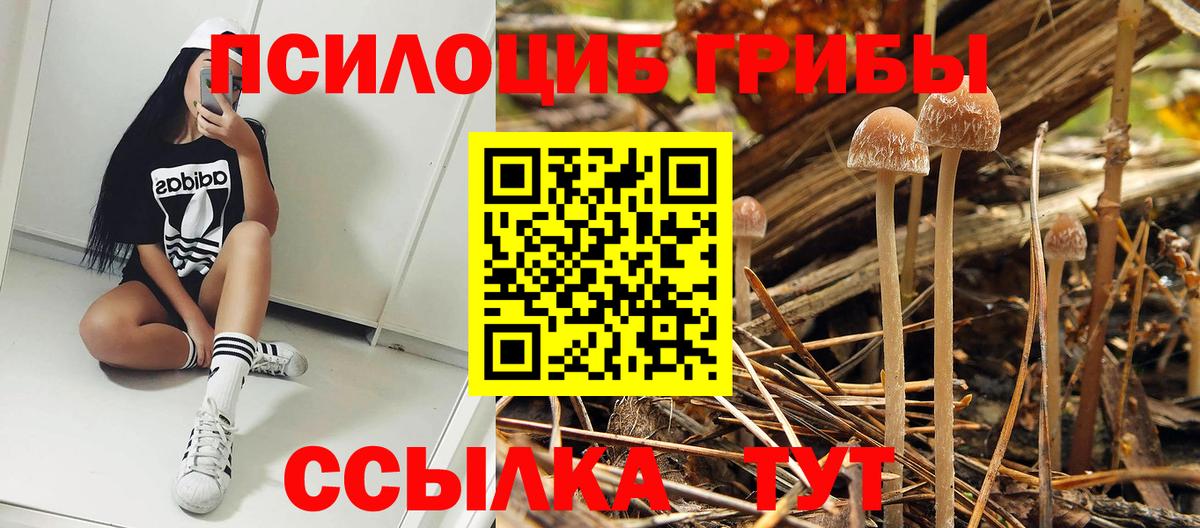 Псилоцибиновые грибы ЛСД Мурманск