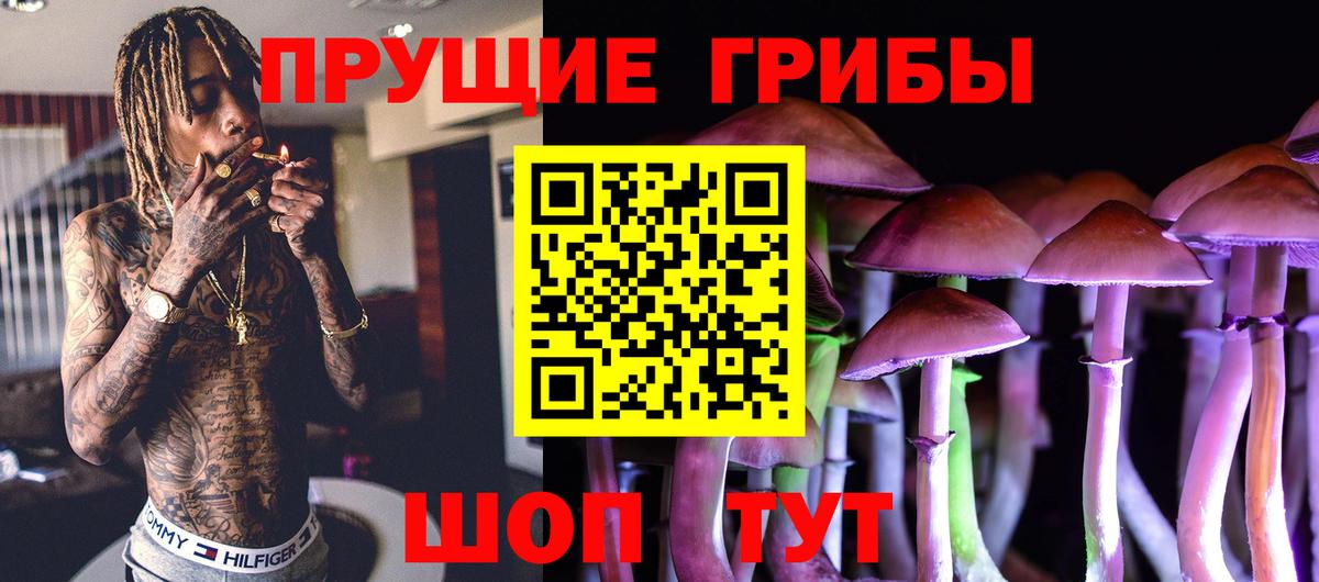 Мурманск  Псилоцибиновые грибы Cubensis  Вход с VPN  Псилоцибиновые грибы GOLDEN TEACHER 